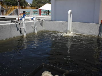 Contaminados sistemas abastecedores