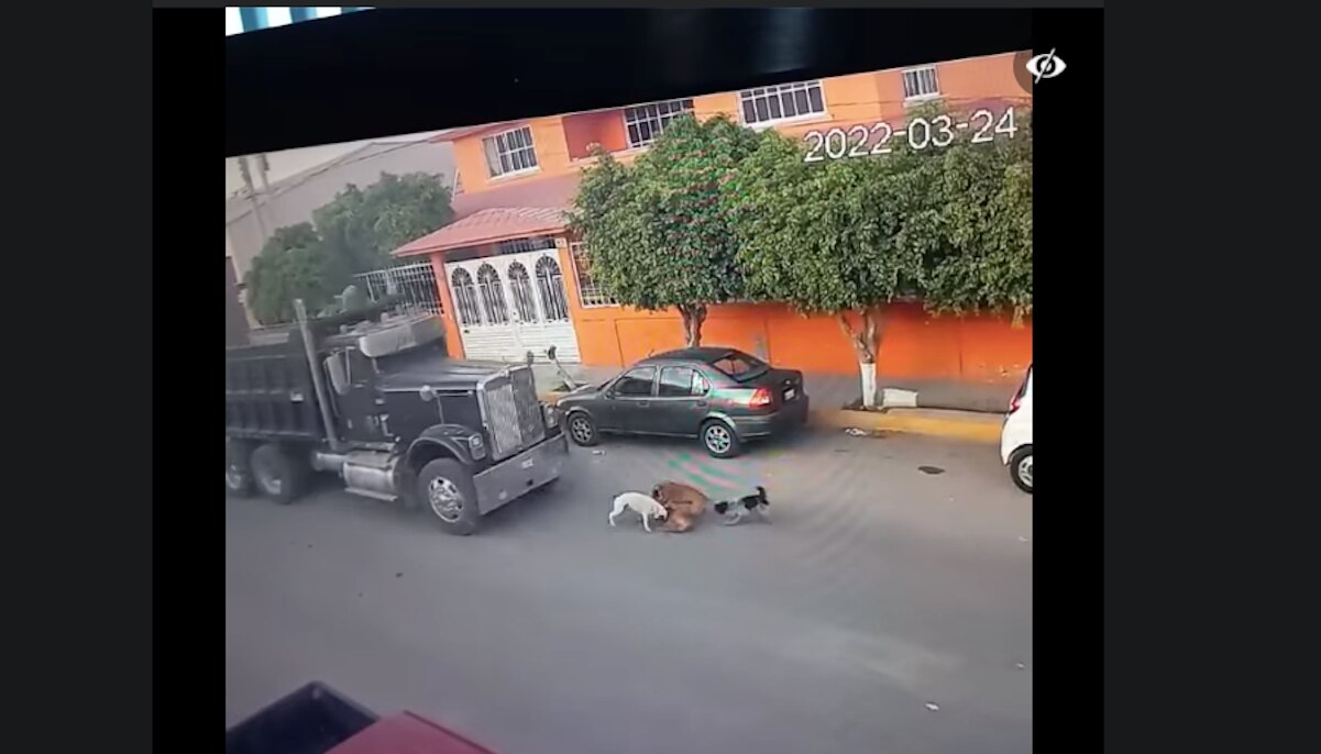 Foto: Captura de pantalla