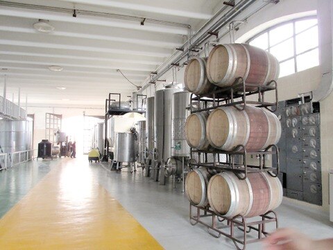 Freixenet apuesta a la uva mexicana