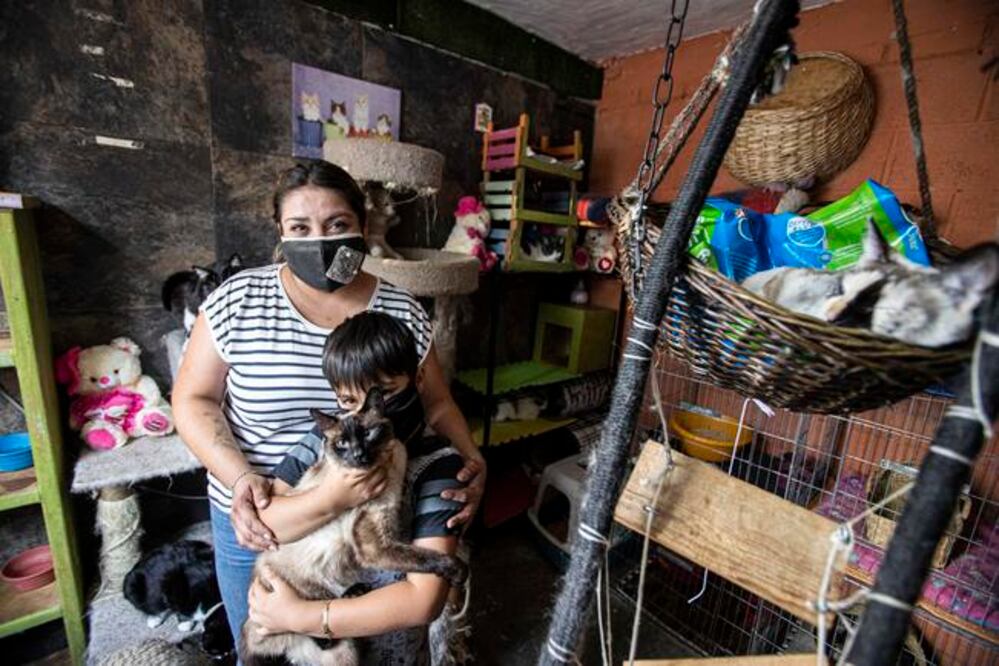 Foto: Demian Chávez