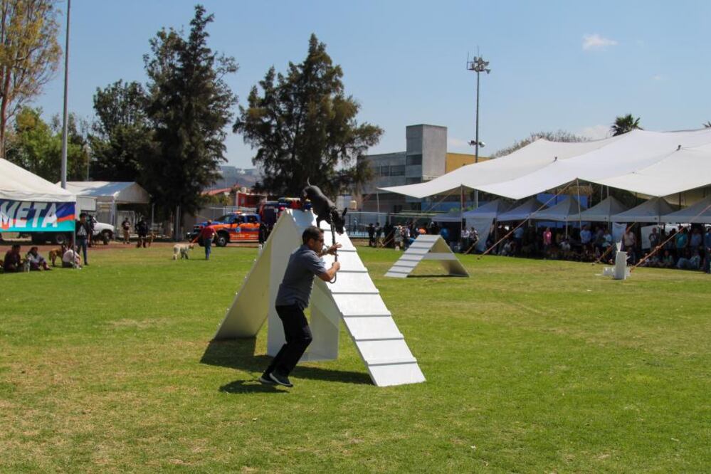 Foto: Martín Escamilla