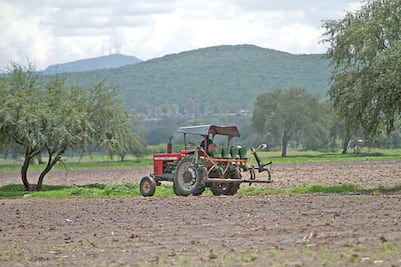 Anuncian reingeniería a programas de apoyo rural