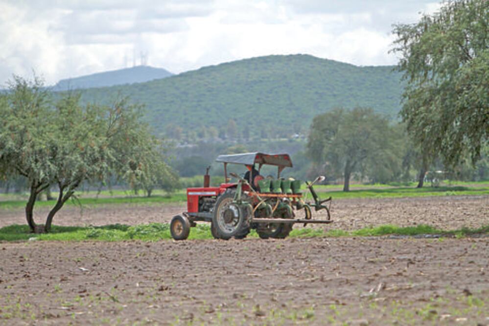 Anuncian reingeniería a programas de apoyo rural