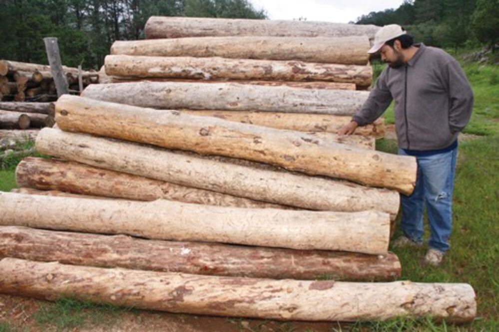 Atacan plagas con productos naturales