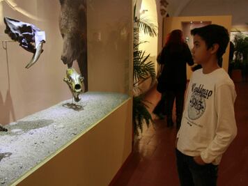 Un espacio para chicos y grandes