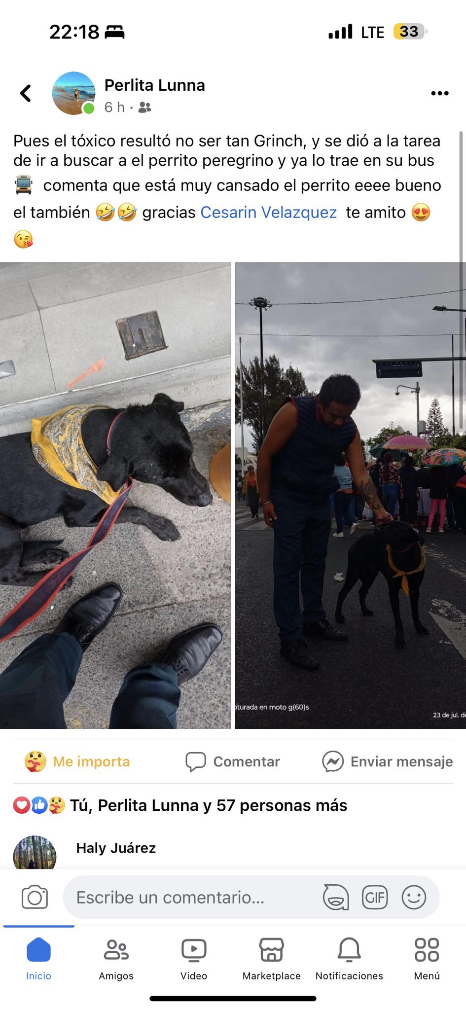 Perrito caminó al Tepeyac