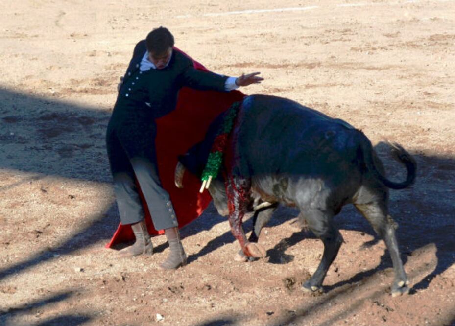 Triunfó “El Canelo” en  la Feria de Colón