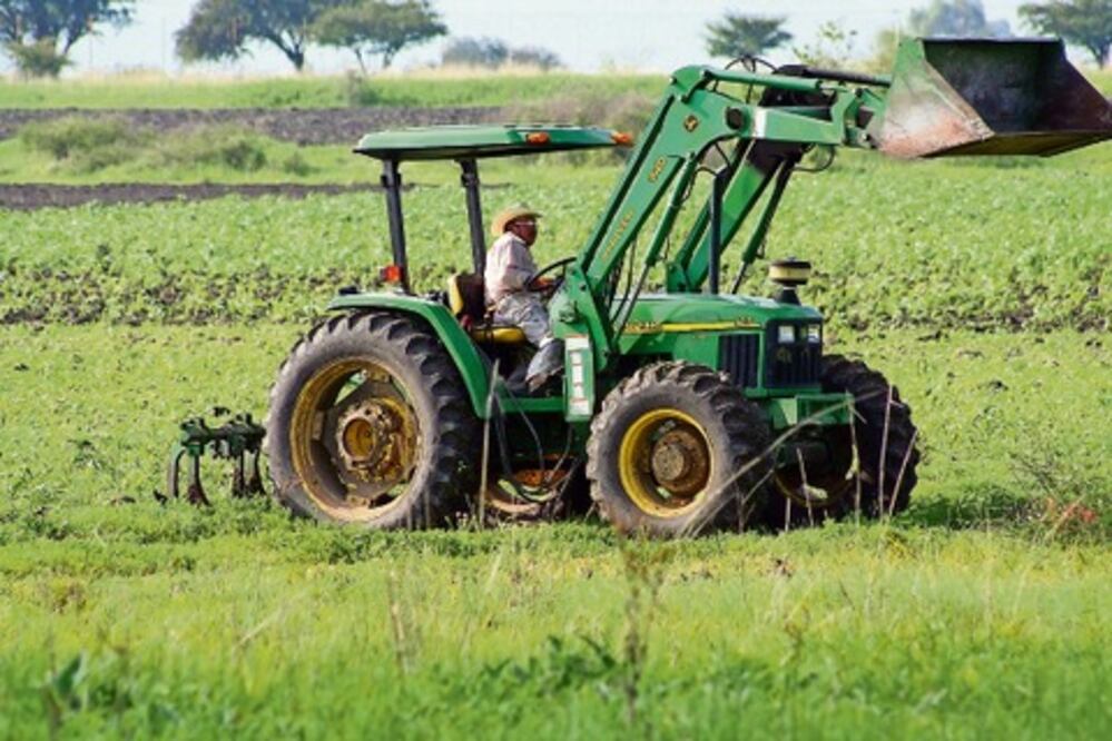 Espera Sedea recursos por 300 mdp para 2013