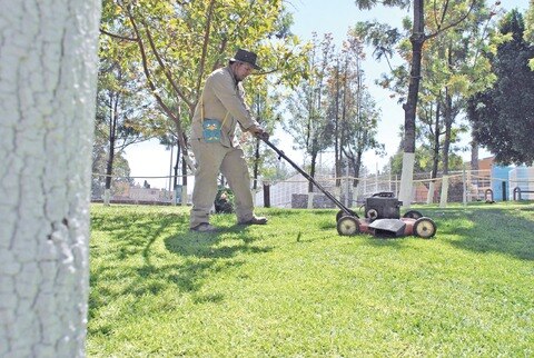 Pospone  estudios por jardinería 