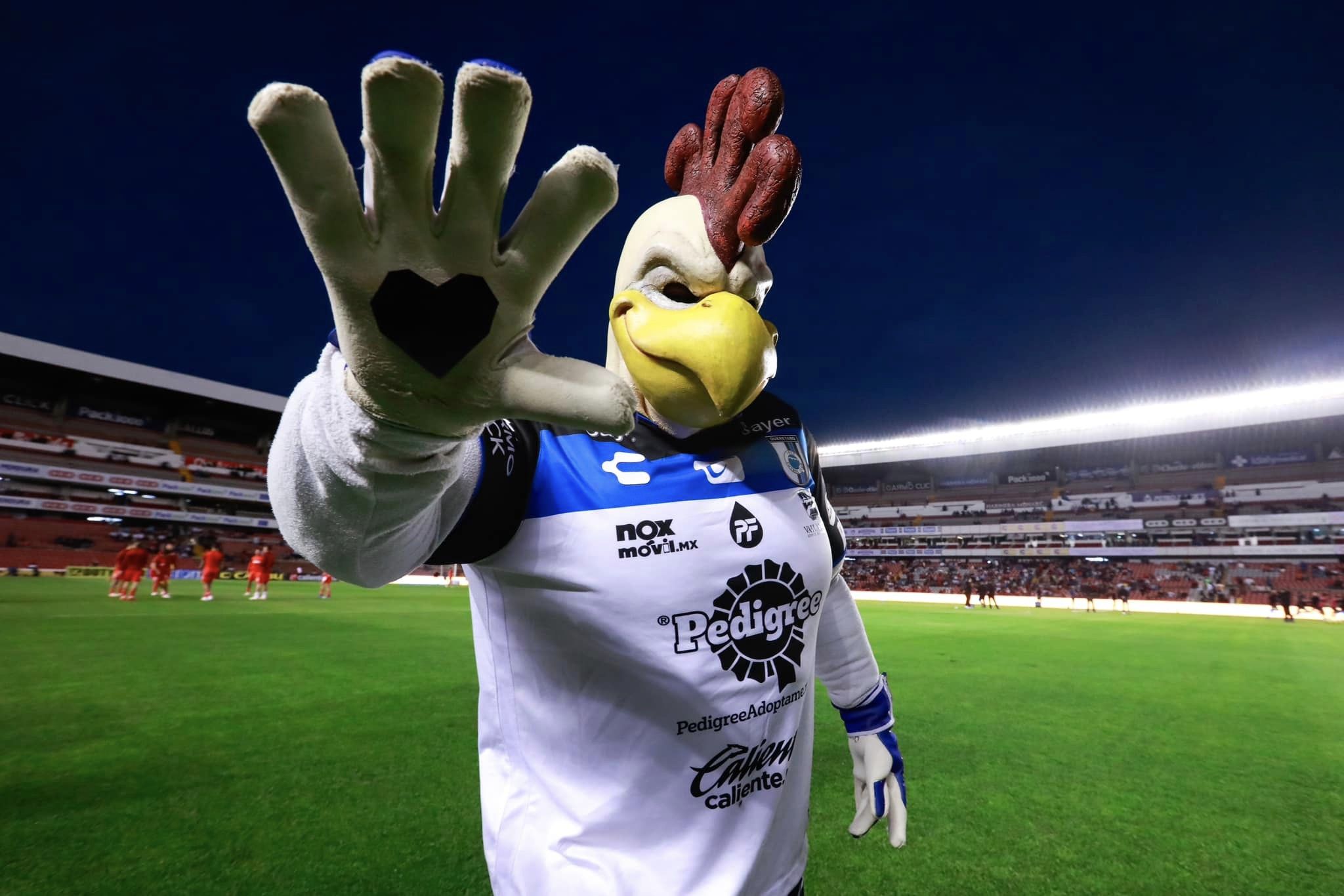 Refuerzan seguridad en el Estadio Corregidora para partido Gallos vs Pumas