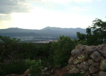 Esperan ambientalistas autorización