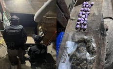 FGR localiza túnel fronterizo de Tijuana a California; era utilizado para el trasiego de drogas y armas