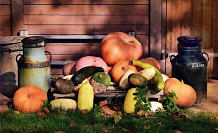 Por qué es bueno comer alimentos de temporada