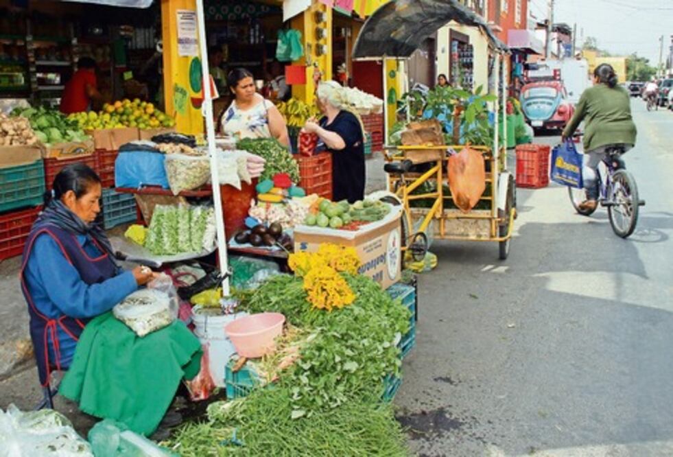 Loyola va contra inspectores “piratas”