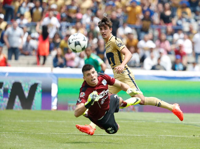 Crisis en los Gallos de Vucetich