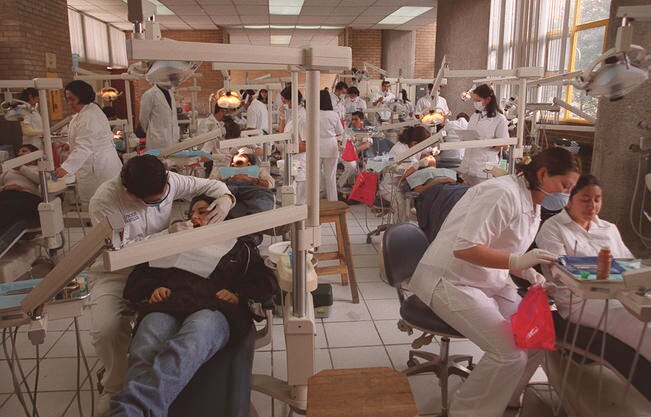 Urgen a diputados impulsar colegiación