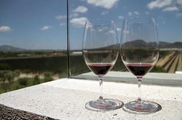 Querétaro recibirá Cumbre Mundial de Enoturismo en 2027