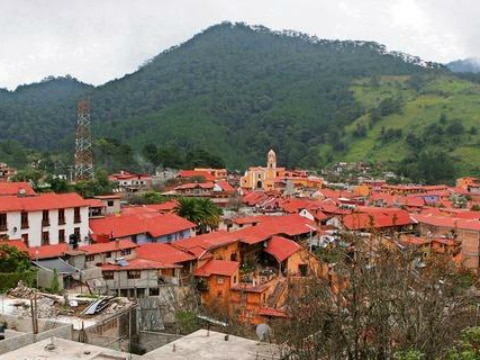 Crearán taller de laudería en Pinal