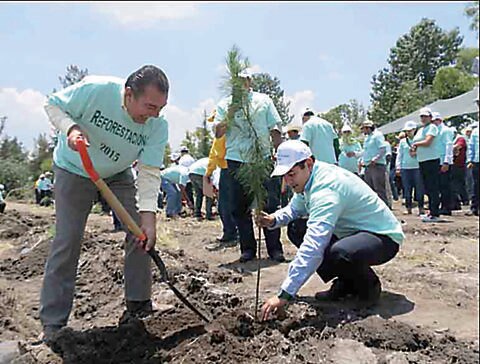 Inician en El Marqués labor de reforestación