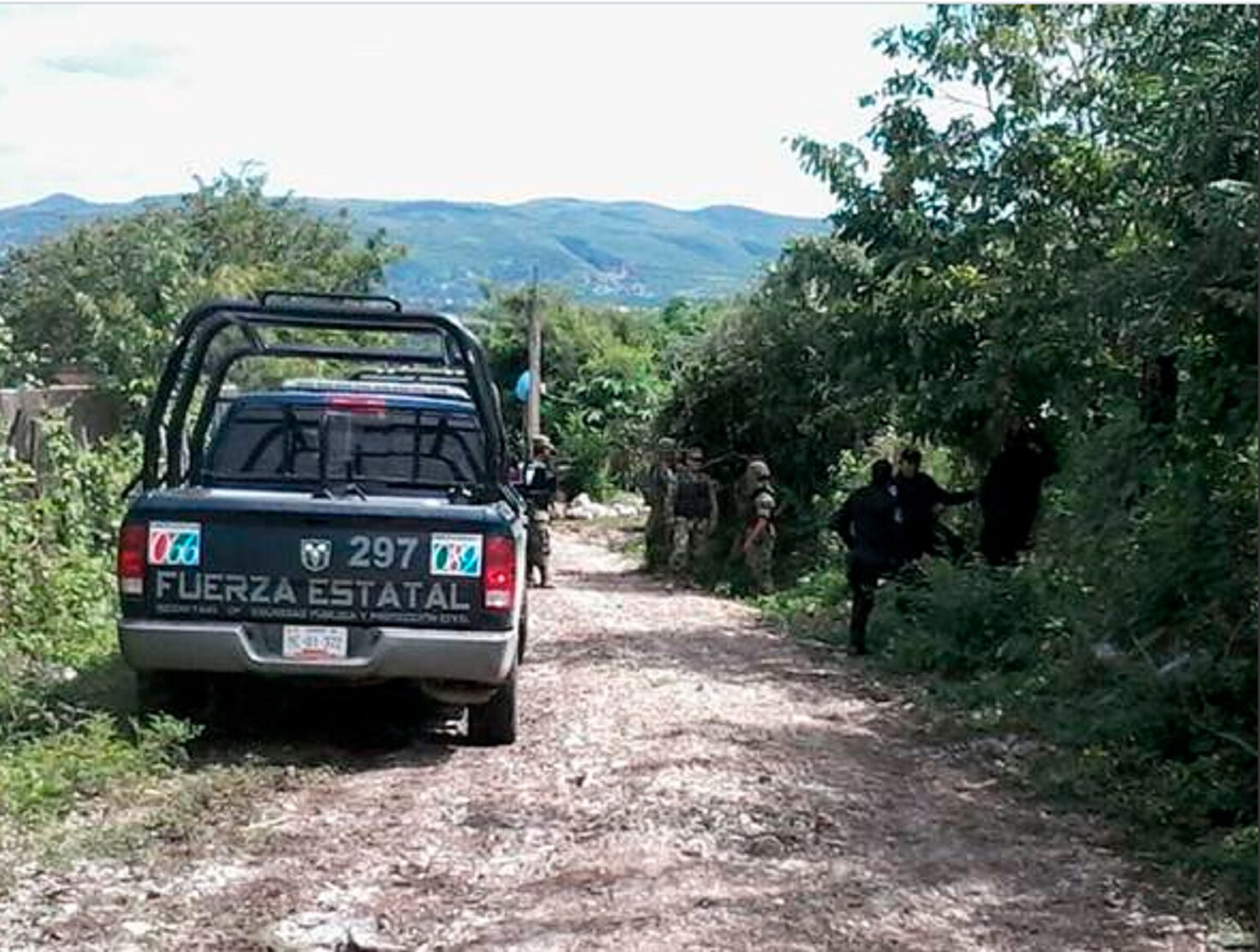 Descubren 12 cadáveres en una barranca en Guerrero