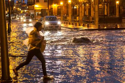 Lluvia desata plagas en comercios