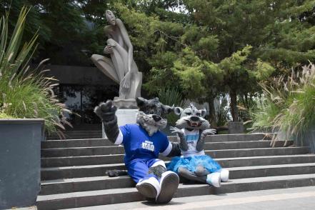 Dän y Maju, mascotas de la UAQ, se llevan premio internacional