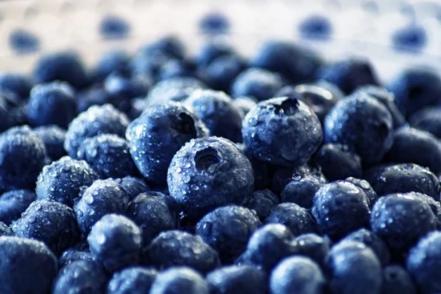 5 alimentos que ayudan a prevenir las estrías