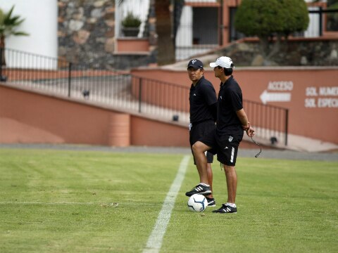 Los gallos quieren hacer historia