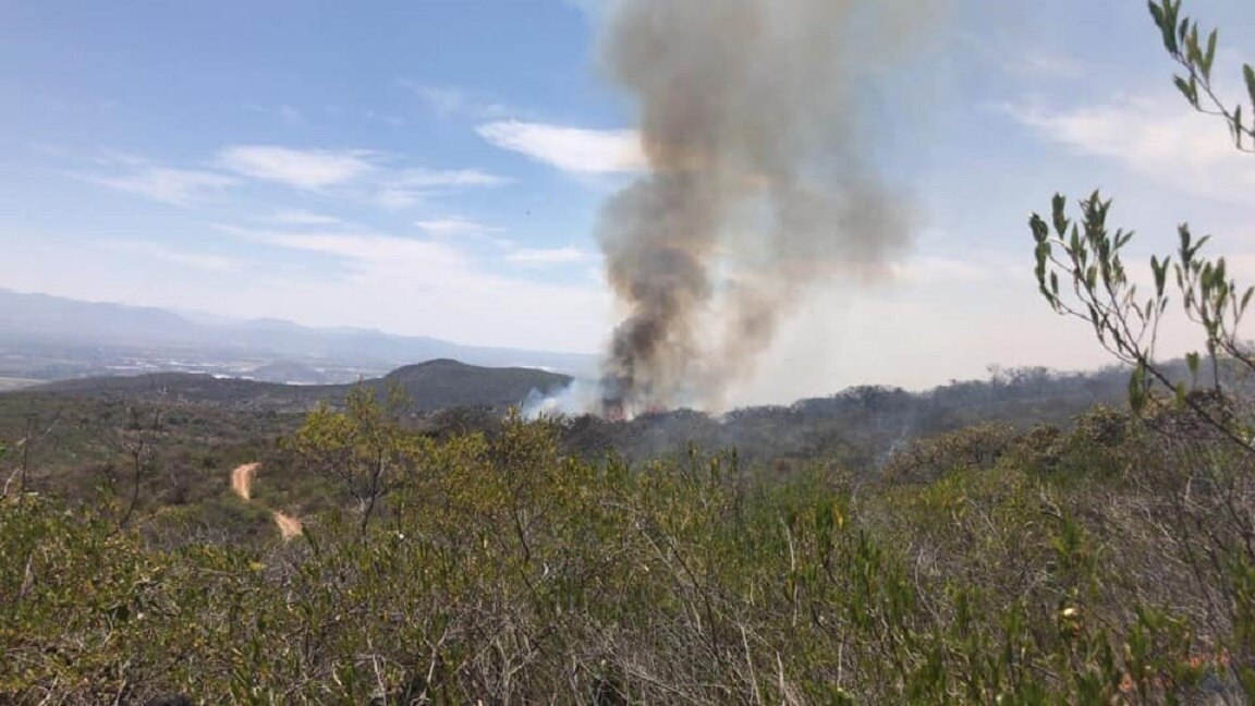"Controlado incendio forestal en Tequisquiapan": Protección Civil