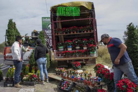 Vendedores de flores confían en una buena Navidad