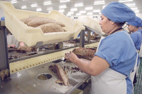 “Facilitó TLCAN 8 mil exportaciones”