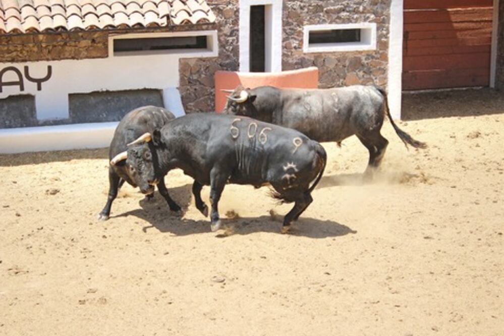 Llega el encierro para el mano a mano