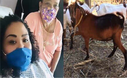 Estudiante universitaria rifa un chivo para cirugía de riñón en Tamaulipas