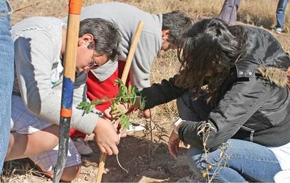 Buscan rescatar espacios públicos