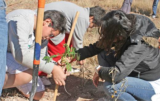 Buscan rescatar espacios públicos