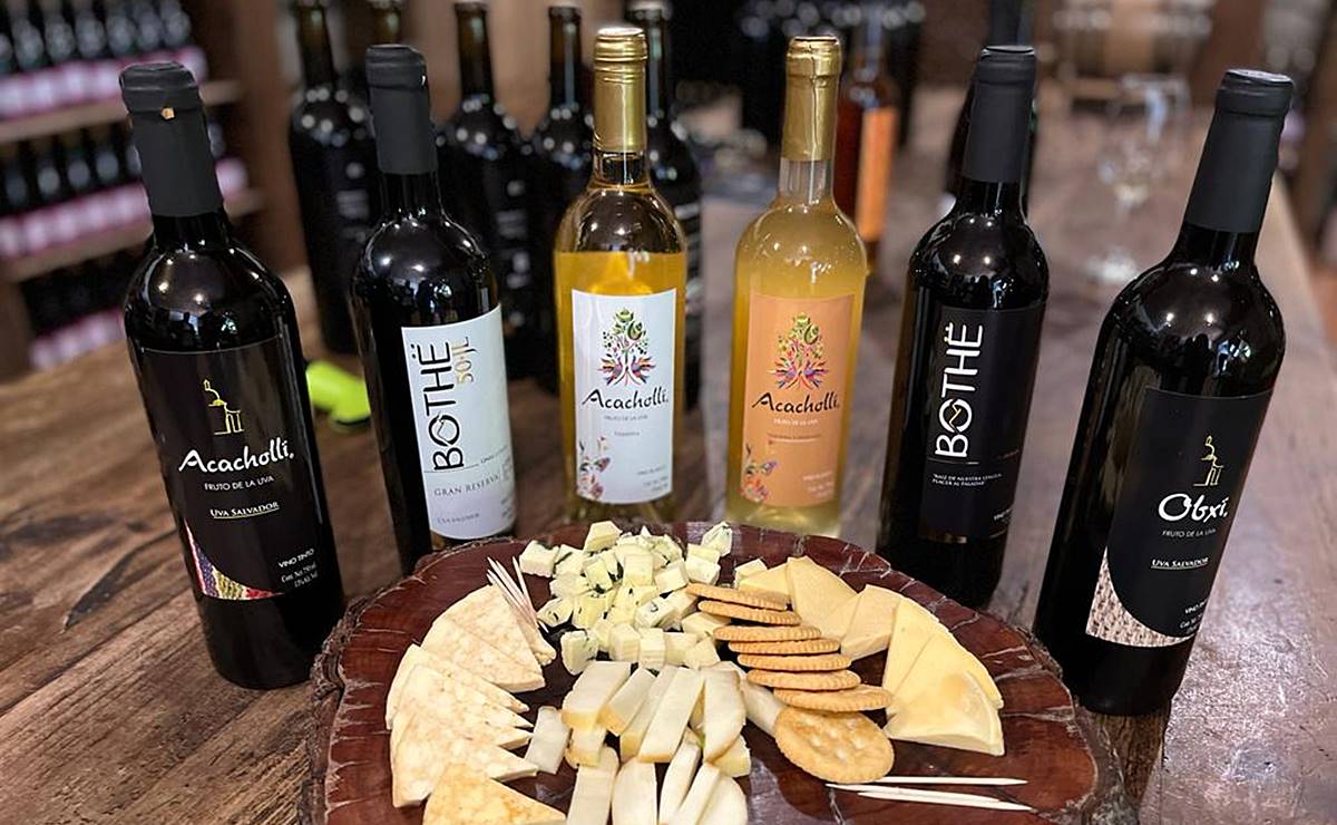 Vendimia 2022. Un viaje por vino artesanal desde 500 pesos a Villa Progreso, el pueblito “italiano” de Querétaro