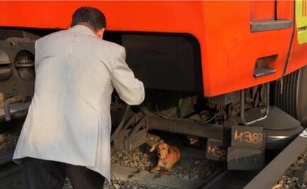 Rescatan a perro de las vías del Metro Constitución 1917