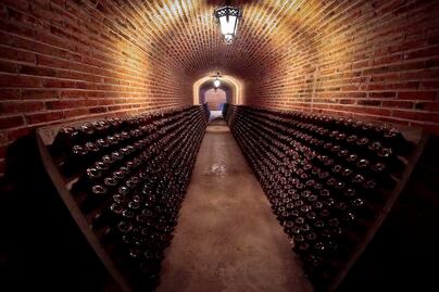 Prevén la creación de un museo del vino en la entidad