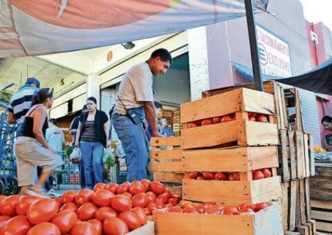 Necesario una nueva Central de abastos