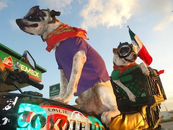 “La carretera es mi casa; ahí vivo”