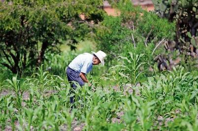 Prevén se deseche ley agropecuaria local