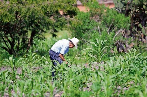 Prevén se deseche ley agropecuaria local