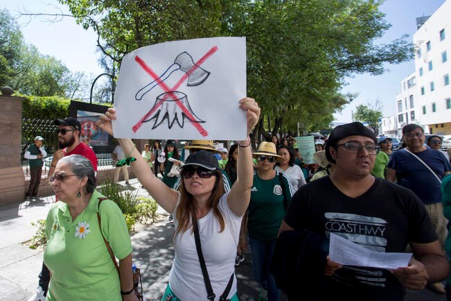 Ambientalistas rechazan a partidos