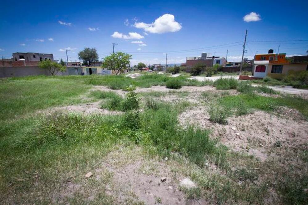 Foto: Archivo El Universal