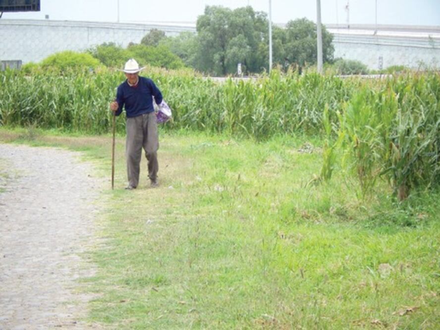 Piden bordos para aprovechar lluvias