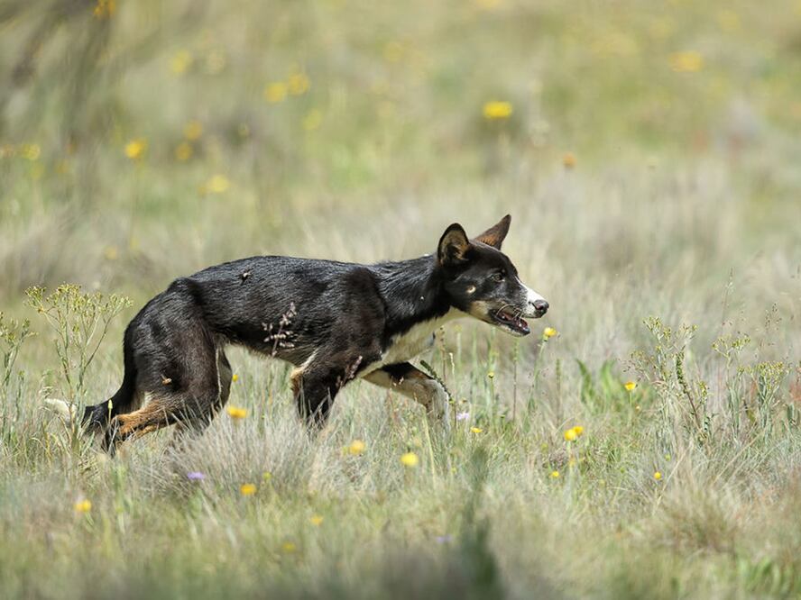 Foto: ARCHIVO. EL UNIVERSAL