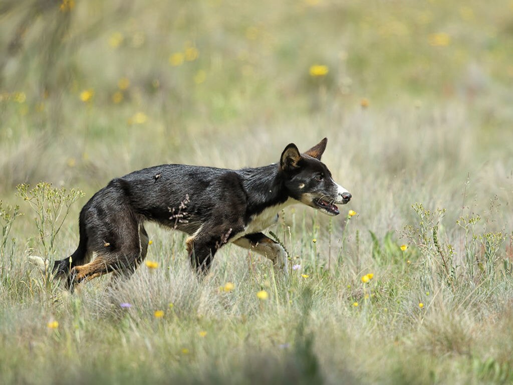 Foto: ARCHIVO. EL UNIVERSAL