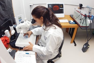 IED alcanza 931 mdd en 2013, dice Sedesu