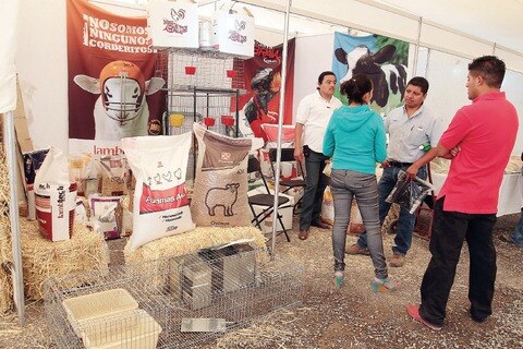 Impulsan producción agropecuaria