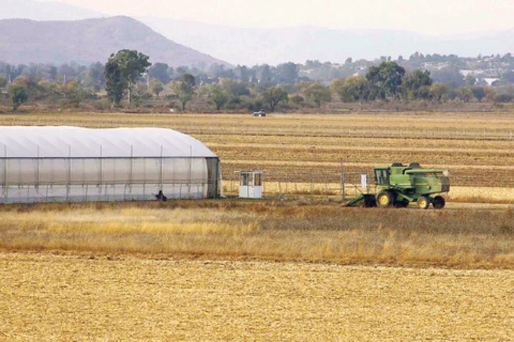 Defraudan a productores